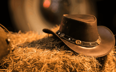 Journée Country
